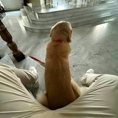 mmwiop's profile picture. 