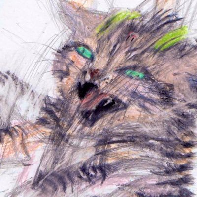 AllaboutMizzy's profile picture. Make sure to follow @lifeismizzy on all platforms!