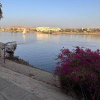Samar Ibrahim (@samibrahimmd) 's Twitter Profile