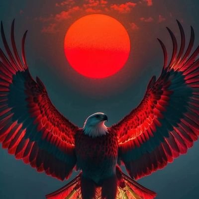 Arsalan35136872's profile picture. 👑🌹❤️🔥💪🏻🤟
US MAN 🤎