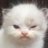 marikonanda's profile image