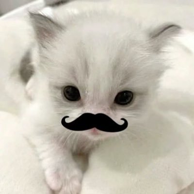 miiiissso's profile picture. 