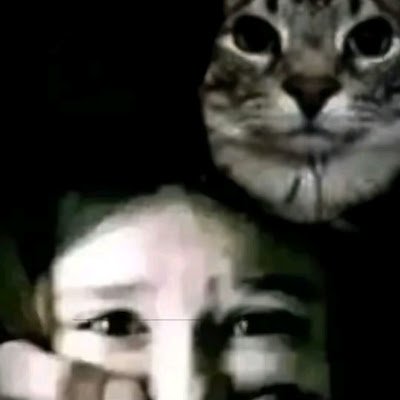 ArceusXNEO2v649's profile picture. 