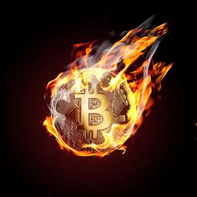 Jayden11129225's profile picture. 