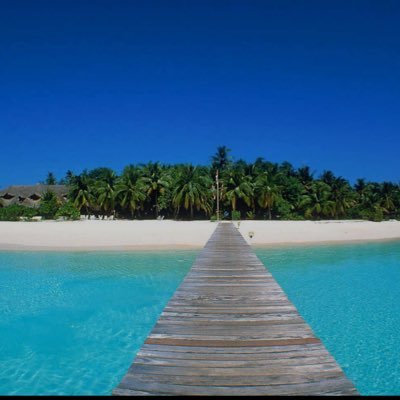 $GMC Get Money Club. ca: 3toHjeBTfPXQSux246zCiV4bwPrjbyLJnUWDBvizMArp