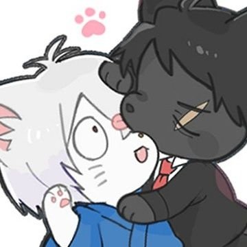 きのりさんのプロフィール画像