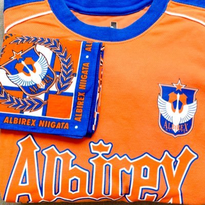🧡albirex💙スタジアム観戦派でN時々W🦢アルビ愛を語りたいんだ(無言フォロー失礼します)