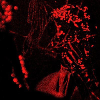 _technogatsby's profile picture. Writer, Director.
