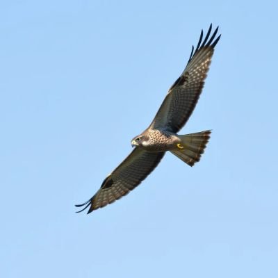 mtabea12's profile picture. 