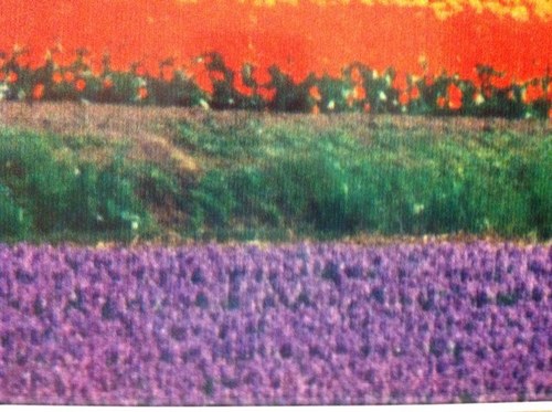 NBagdassarian's profile picture. Journaliste à France Bleu Pays Basque.