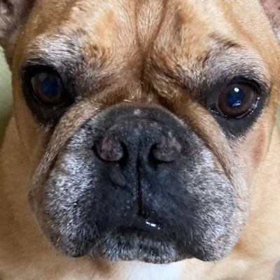 青春＝(汗＋焦＋褪)2。ショート全盛時代に反旗を翻し長めの小説を書いてます。oasis東京ドームライブでwhateverを聴く希望…チケットは未だない。音楽好き(UK寄り)。お笑い好き(喋くり漫才派)。無言フォロー失礼いたします🙏