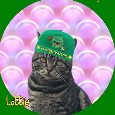 I am a bit of a Princess. My brofur Charlie is never forgotten & guides me every day We love #Hedgewatch #GladdersYoga #catchatbookclub #Nature & fun with pals.
