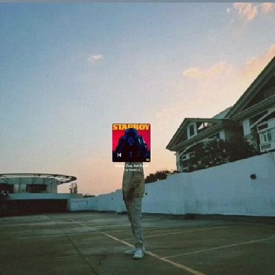 springdalight's profile picture. 18 | Working on Coding