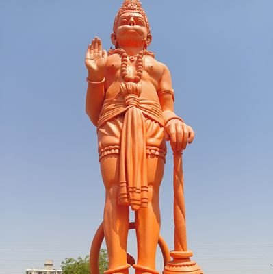 gauta65916's profile picture. 