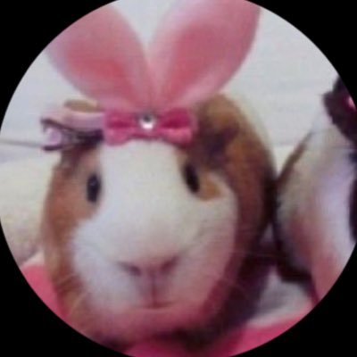 woniinyourheart's profile picture. 