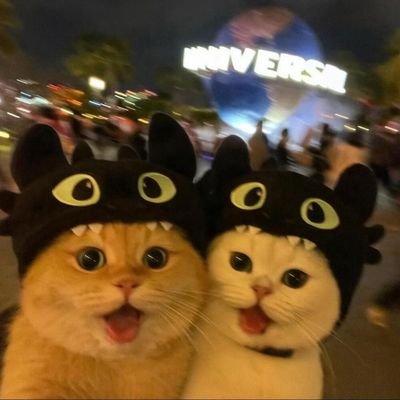 OppaK2P's profile picture. LOVE
😍TAENY,
😍 SNSD,
😍 EXID,
😍 THE9,🐯🦁
😍 👍รัก GL ทุกคู่  l'm a ปาปี๊ of girl love👍💕ส่งเสริมให้ Girl Love ดั่งไกลทั่วโลก👍💕