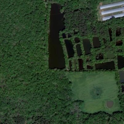 I am selling my 110 Acre: Water, Ponds, Fishing and Hunting Paradise outside of Raleigh North Carolina. It was an old fish farm.