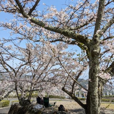 広島市