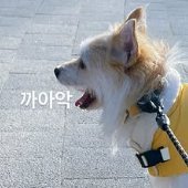 이름은 귀리 🕯️가족 찾은 찰떡 Profile