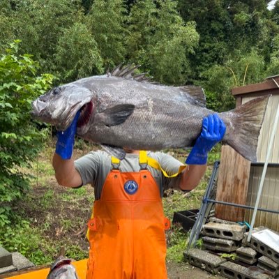 鶏ガラさんのプロフィール画像