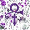 LoveSymbol23's profile picture. MusicIsMyReligion 💜 Prince In My Heart In My Mind In My Life In My Dream #PRINCE4EVER #PURPLEFAM #PURPLEARMY