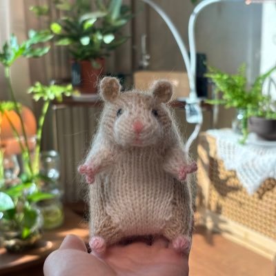 오후에만 해 잠깐 드는 북향 작은방에서 어찌저찌 우당탕탕 식물키우기 🧶@on_Heedong