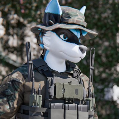 Hoosier Huskfolfさんのプロフィール画像
