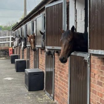 find the fastest horse and you will find your self doing ok
