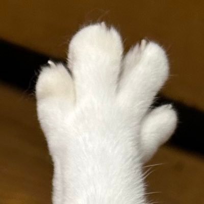 Tiamat鯖に生息してるR'tokia Taqaです。 FF14垢のはずだったけど最近関係ない事も呟いてる。 メインジョブは黒のつもり クソ雑魚の名を冠するに相応しいクソ雑魚の中のクソ雑魚です。 ヘッダー: © SQUARE ENIX