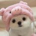 ๐ (@byseul_) Twitter profile photo ๐ (@byseul_) Twitter profile photo