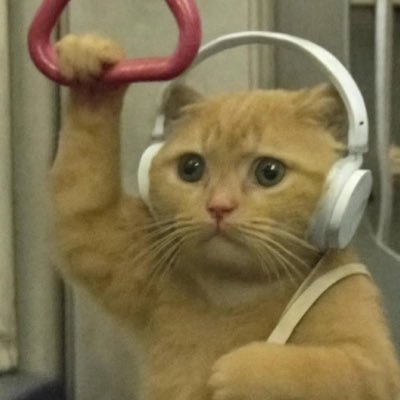 nidianikt's profile picture. 🌻