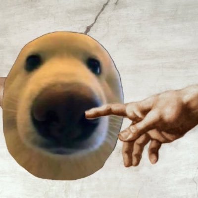 Emms055's profile picture. Degen. $boop @boopthecoin