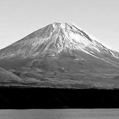 inatami's profile picture. 週刊少年サンデー/東方