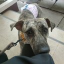 Jurish Paje - @jurishdiction02 - Twitter