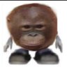friashere's profile picture. ..
