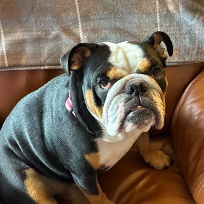 PhilraE's profile picture. Scottish🏴󠁧󠁢󠁳󠁣󠁴󠁿British🇬🇧 Season ticket holder at R.F.C. Married to my lovely wife Karen❤️ Retweet’s are not necessarily my opinions