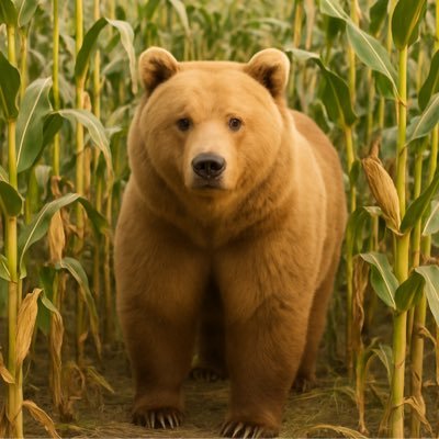 Oski_IA's profile picture. Proud Cal alum and Padres fan living in the Heartland