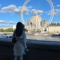 Anima (@anima14fanima) 's Twitter Profile