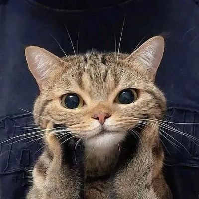 lekkermiloo's profile picture. 