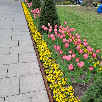 RidvannSaglam's profile picture. Mabel Matiz
Harry Styles 
Gülşen
Dua Lipa
Mert Demir
Taylor Swift