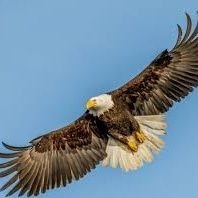 ThuMin6454's profile picture. 