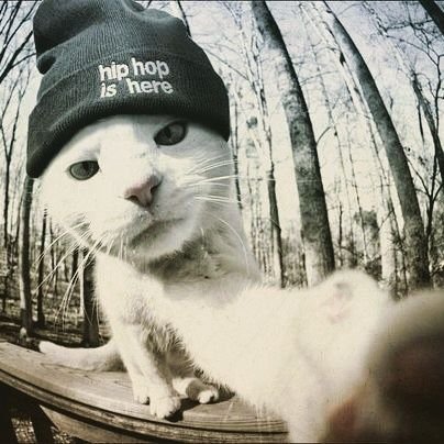 KITvasyan's profile picture. хоробрих і смерть поважає