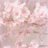 Sakura_1aa's profile image