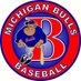 Michigan Bulls Tanderys-16u (@bulls_tanderys) Twitter profile photo Michigan Bulls Tanderys-16u (@bulls_tanderys) Twitter profile photo