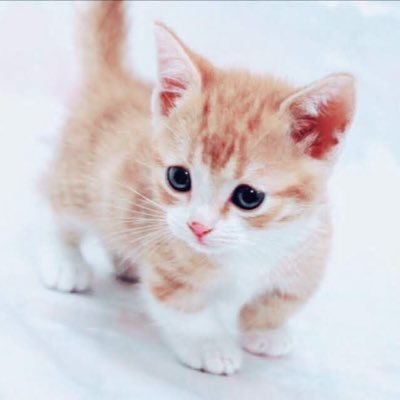 clsc351's profile picture. 