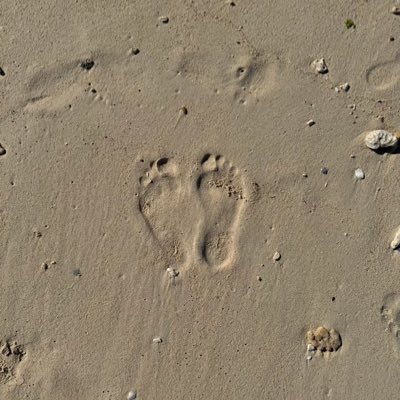 rkannnn01's profile picture. 