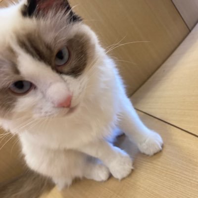 ひいろさんのプロフィール画像