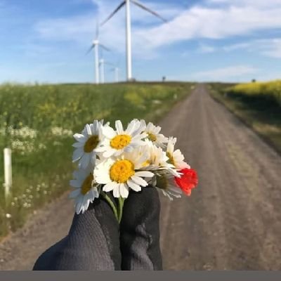 TaiyabaBhatti's profile picture. Software Engineer'26 || Reactjs developer