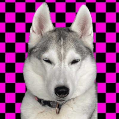 hi, i play games and i also like tech related stuff