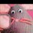 jaquimoss's profile image